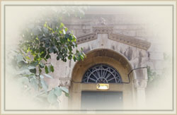 ����� ����� ���� ��� ����� �����