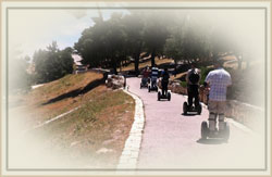 ����� ����� ����