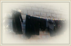 ����� ����� ���� ��� ����� �����