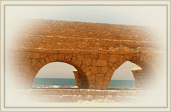 ���� ���� ������ �� �����