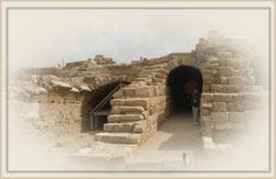 ���� ���� ������ ��� ����� �����