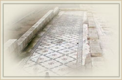 ���� ���� ������ ��� ����� �����