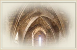 ���� ���� ������ ��� ����� �����