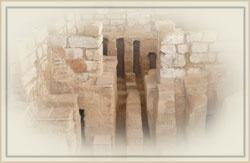 ���� ���� ������ ��� ����� �����