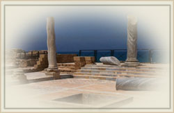 ���� ���� ������ ��� ����� �����