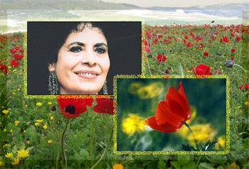   ���� ������ ���� ���� ����� ��� ����� ����� 